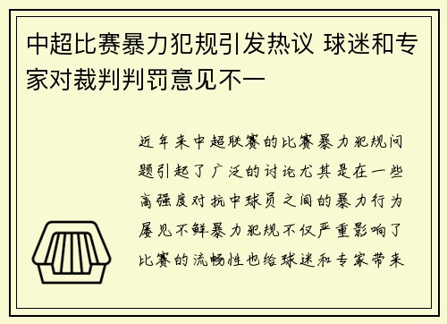 中超比赛暴力犯规引发热议 球迷和专家对裁判判罚意见不一