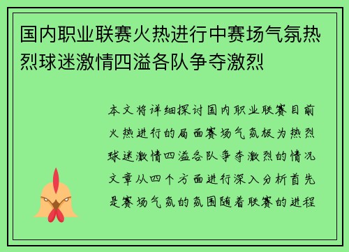 国内职业联赛火热进行中赛场气氛热烈球迷激情四溢各队争夺激烈